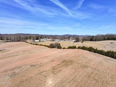 Lake Acreage For Sale in Mosheim, Tennessee
