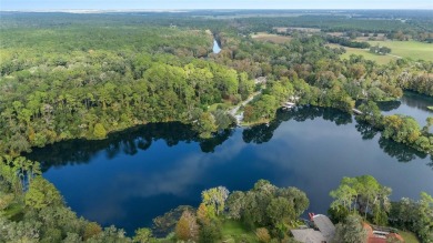 (private lake, pond, creek) Home For Sale in Dunnellon Florida