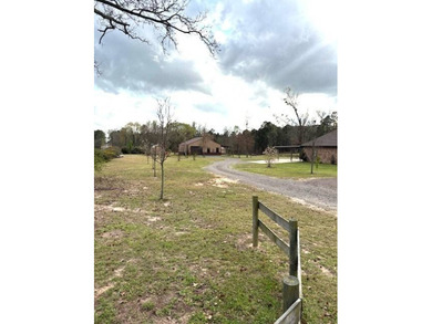 Spacious and inviting, this beautiful 3-bedroom, 2.5-bath home - photo 3