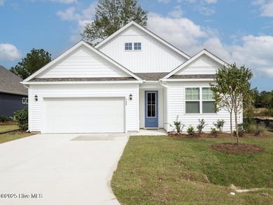 Welcome to Hubert's newest neighborhood, Surfside Landing! - photo 2
