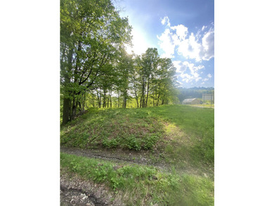 White River frontage, high and dry house site offering pleasant - photo 4