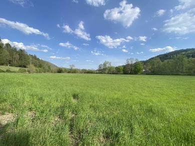 White River frontage, high and dry house site offering pleasant - photo 5