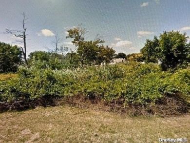 (private lake, pond, coastal) Lot Sale Pending in Copiague New York