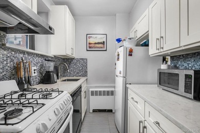 Beautiful 1 Bedroom 1 Bath in the Heart of Great Neck with newly - photo 8