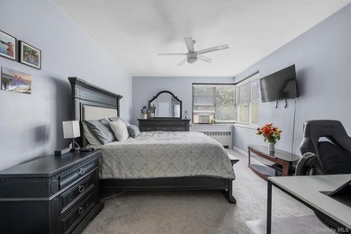 Beautiful 1 Bedroom 1 Bath in the Heart of Great Neck with newly - photo 9