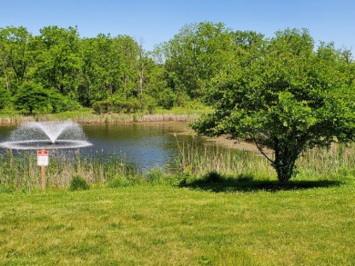 (private lake, pond, creek) Acreage For Sale in Wadsworth Illinois