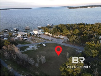 (private lake, pond, coastal) Lot For Sale in Orange Beach Alabama