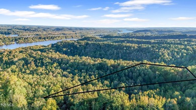 Tennessee River - Benton County Acreage For Sale in Holladay Tennessee