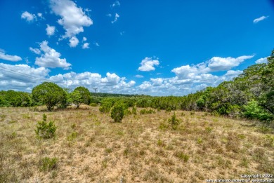 Lake Acreage For Sale in Spring Branch, Texas