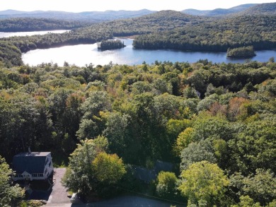 Lake Acreage Sale Pending in Alton, New Hampshire