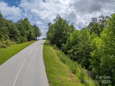 Private .97 acre lot with a stream in the highly desirable gated - photo 2