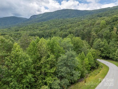 Private .97 acre lot with a stream in the highly desirable gated - photo 9