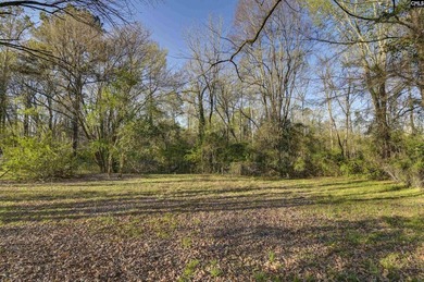 Located in Irmo close to shopping and schools. house move in - photo 12