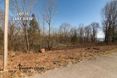 Lake View Land - 3.8 acres - photo 2