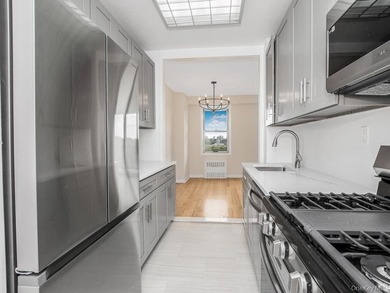 Gorgeous Totally Renovated Spacious One Bedroom in Riverdale's - photo 10