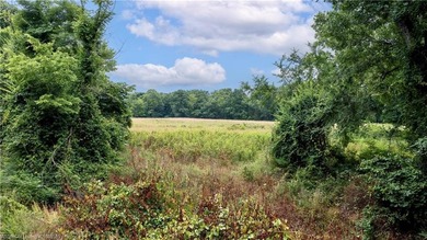 Discover the perfect blend of privacy, recreation, and - photo 2
