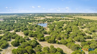 (private lake, pond, creek) Acreage For Sale in Lampasas Texas