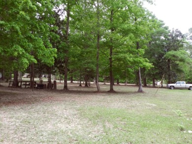 Lake Community Manicured For Camping, Mfd. Home or Build  - Lake Lot For Sale in Woodville, Texas