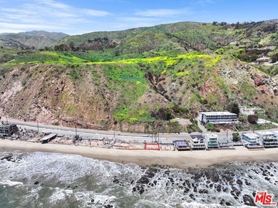 A Rare Coastal Canvas Awaits on the Iconic Pacific Coast Highway - photo 21