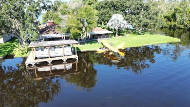 Lake Home For Sale in Tavares, Florida