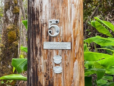 Build your dream home on this front lot in Royal Hawaiian - photo 11