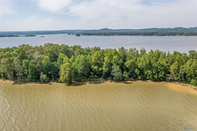 BRING ON THE LAKE TIME! Recreational Lot in Cedar Bluff Raw lot - photo 3