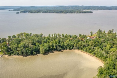 BRING ON THE LAKE TIME! Recreational Lot in Cedar Bluff Raw lot - photo 6