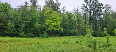 Lake Acreage For Sale in Stone Lake, Wisconsin