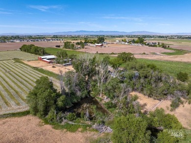 Opportunities abound with this Farm & Ranch property. Property - photo 8