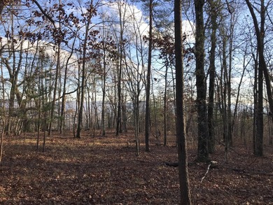 Here it is! This 6.04 acre bluff lot looks over the beautiful - photo 11