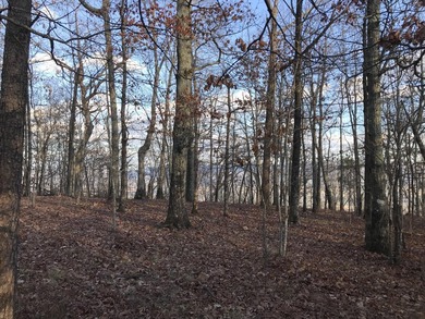 Here it is! This 6.04 acre bluff lot looks over the beautiful - photo 12