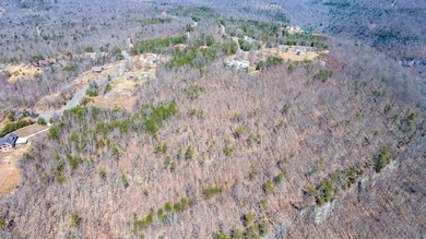 Here it is! This 6.04 acre bluff lot looks over the beautiful - photo 15