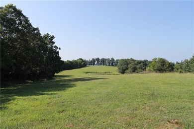 Discover a rare opportunity on Firetower Road-55.09 acres - photo 16