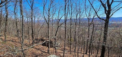 Here it is! This 6.04 acre bluff lot looks over the beautiful - photo 17
