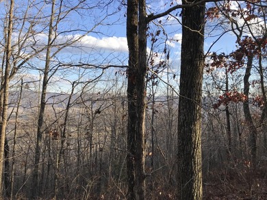 Here it is! This 6.04 acre bluff lot looks over the beautiful - photo 20