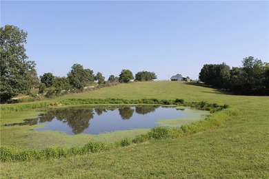Discover a rare opportunity on Firetower Road-55.09 acres - photo 21