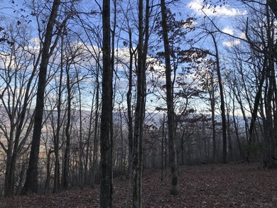 Here it is! This 6.04 acre bluff lot looks over the beautiful - photo 21