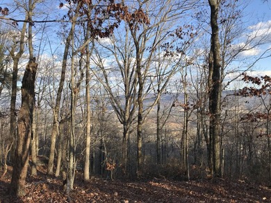 Here it is! This 6.04 acre bluff lot looks over the beautiful - photo 22