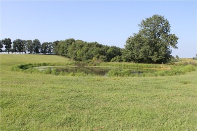 Discover a rare opportunity on Firetower Road-55.09 acres - photo 23