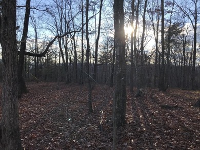 Here it is! This 6.04 acre bluff lot looks over the beautiful - photo 23