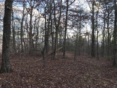 Here it is! This 6.04 acre bluff lot looks over the beautiful - photo 24