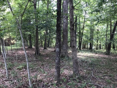 Here it is! This 6.04 acre bluff lot looks over the beautiful - photo 25