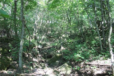 Discover a rare opportunity on Firetower Road-55.09 acres - photo 26