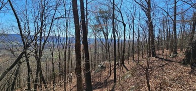 Here it is! This 6.04 acre bluff lot looks over the beautiful - photo 26