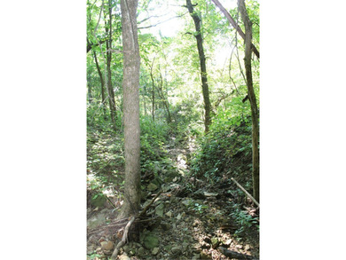 Discover a rare opportunity on Firetower Road-55.09 acres - photo 27