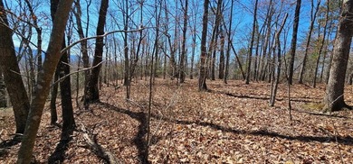 Here it is! This 6.04 acre bluff lot looks over the beautiful - photo 27