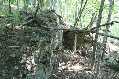 Discover a rare opportunity on Firetower Road-55.09 acres - photo 28