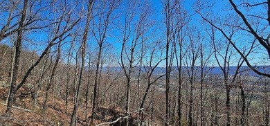 Here it is! This 6.04 acre bluff lot looks over the beautiful - photo 28