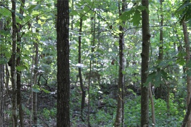 Discover a rare opportunity on Firetower Road-55.09 acres - photo 29