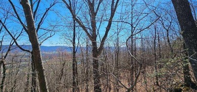 Here it is! This 6.04 acre bluff lot looks over the beautiful - photo 29